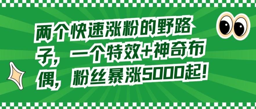 两个快速涨粉的野路子，一个特效+神奇布偶，粉丝暴涨5000起【揭秘】-七七项目网
