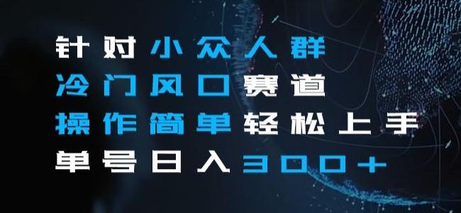 针对小众人群冷门风口赛道，操作简单轻松上手单号日入300+-七七项目网
