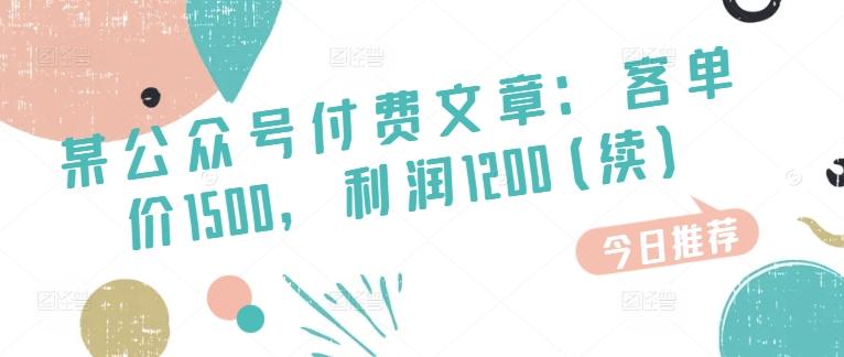某公众号付费文章：客单价1500，利润1200(续)，市场几乎可以说是空白的-七七项目网