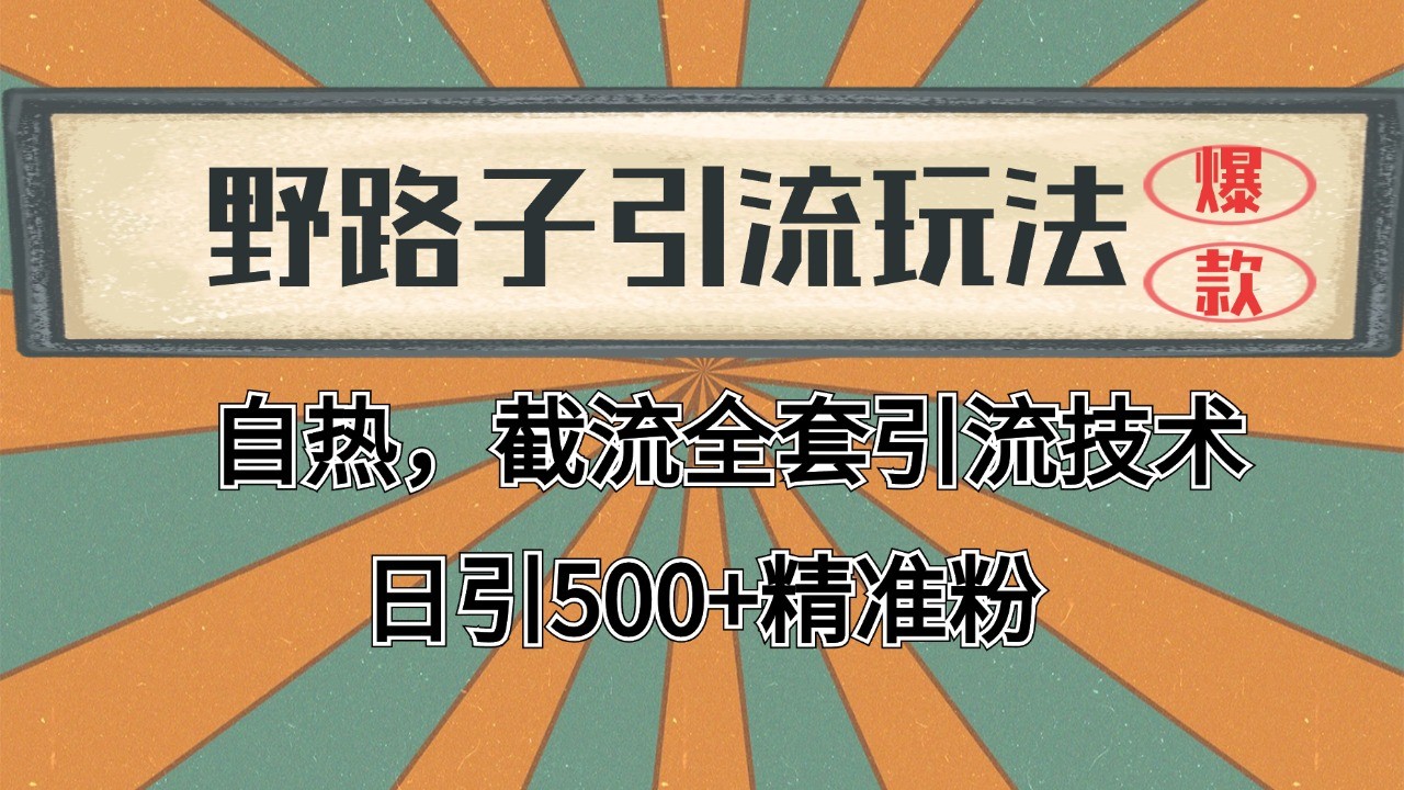 抖音小红书视频号全平台引流打法，全自动引流日引2000+精准客户-七七项目网