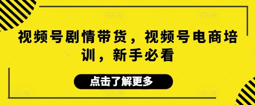 视频号剧情带货，视频号电商培训，新手必看-七七项目网