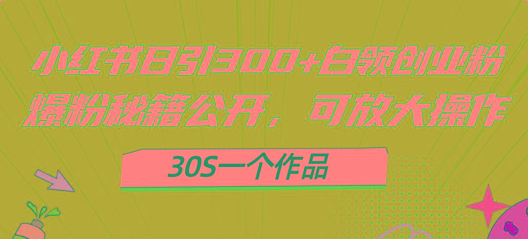 小红书日引300+高质白领创业粉，可放大操作，爆粉秘籍！30s一个作品-七七项目网