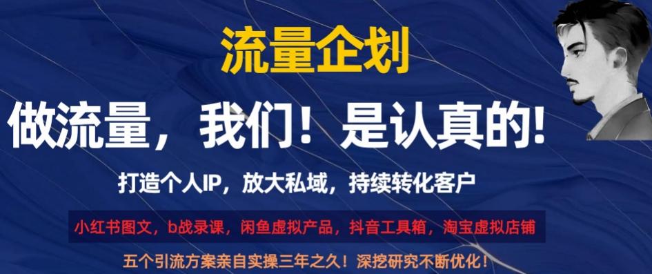 流量企划，打造个人IP，放大私域，持续转化客户【揭秘】-七七项目网