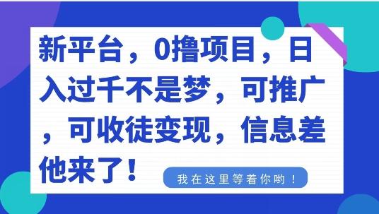 不要再花冤枉钱了，0撸项目，每天坚持，稳定1000+-七七项目网