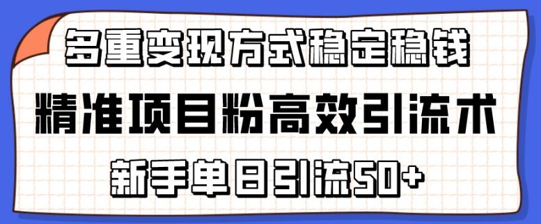 精准项目粉高效引流术，新手单日引流50+，多重变现方式稳定赚钱【揭秘】-七七项目网