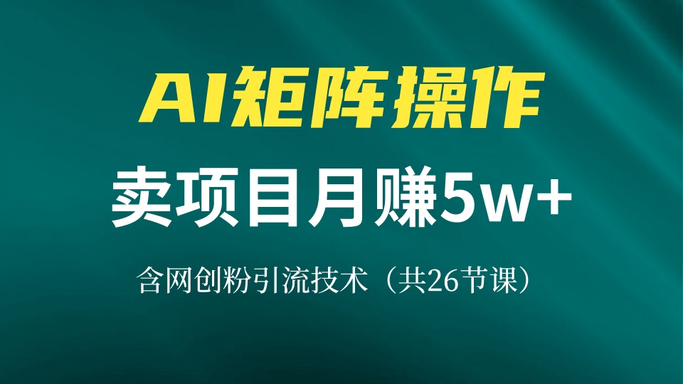 网创IP打造课，借助AI卖项目月赚5万+，含引流技术(共26节课-七七项目网