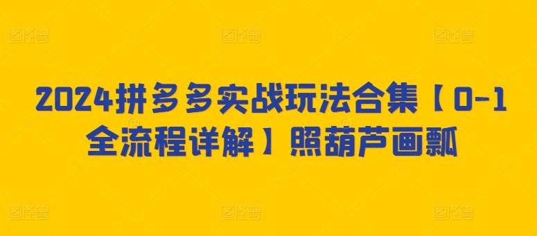 2024拼多多实战玩法合集【0-1全流程详解】照葫芦画瓢-七七项目网