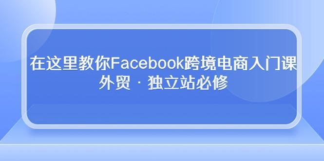 在这里教你Facebook跨境电商入门课，外贸·独立站必修-七七项目网