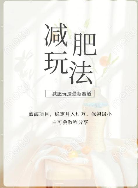 减肥流量主新玩法，轻松月入1W，可矩阵操作收入翻倍-七七项目网