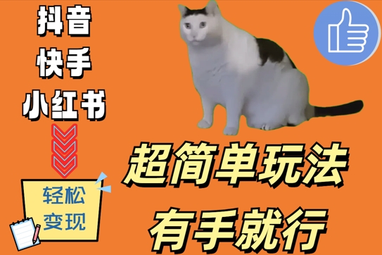 超简单玩法，有手就行，靠猫咪视频日入500+【揭秘】-七七项目网