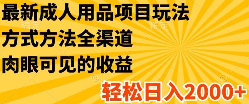最新成人用品项目玩法，方式方法全渠道，轻松日入2K+【揭秘】-七七项目网