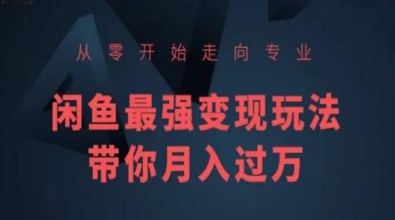 从零开始走向专业，闲鱼最强变现玩法带你月入过万-七七项目网