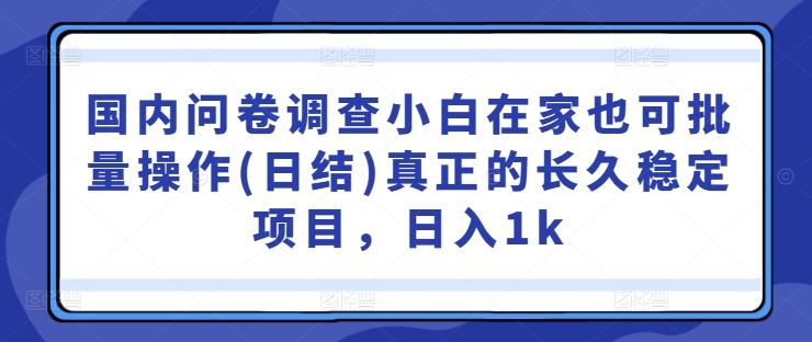 国内问卷调查小白在家也可批量操作(日结)真正的长久稳定项目，日入1k【揭秘】-七七项目网