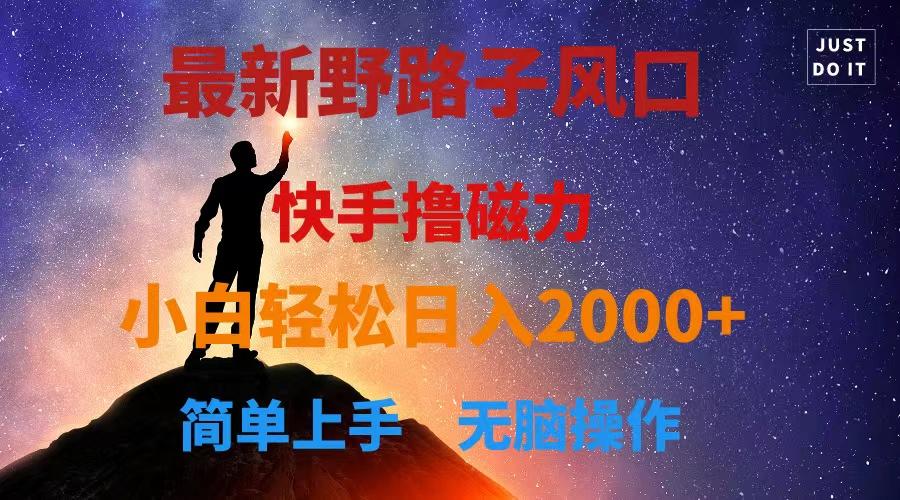 最新风口！快手撸磁力，野路子，小白无脑操作日入2000+-七七项目网