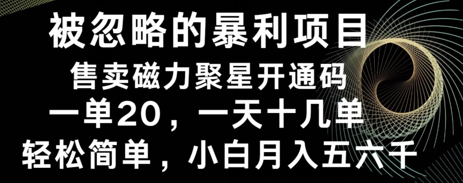 被忽略的暴利项目！售卖磁力聚星开通码，一单20，一天十几单，轻松月入五六千-七七项目网