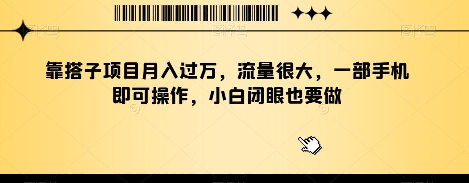 靠搭子项目月入过万，流量很大，一部手机即可操作，小白闭眼也要做-七七项目网