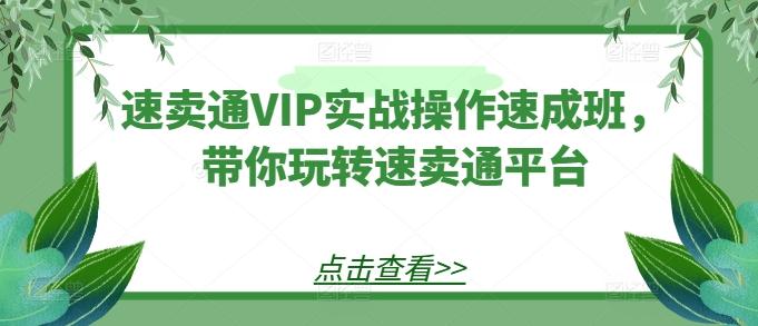 速卖通VIP实战操作速成班，带你玩转速卖通平台-七七项目网