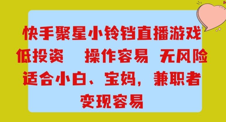 快手小铃铛游戏项目，低投入零风险，操作简单变现快-七七项目网