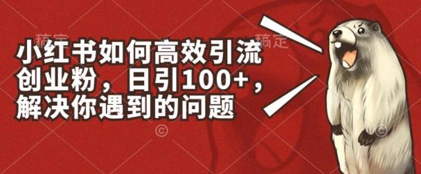 小红书如何高效引流创业粉，日引100+，解决你遇到的问题【揭秘】-七七项目网
