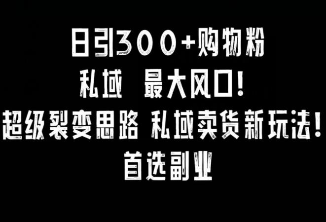 日引300+购物粉，超级裂变思路，私域卖货新玩法，小红书首选副业【揭秘】-七七项目网