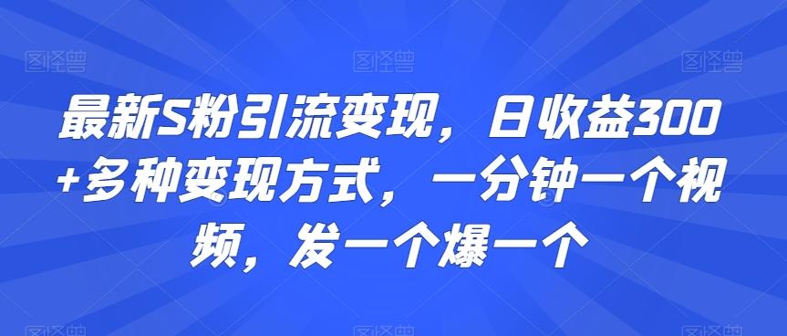 最新S粉引流变现，日收益300+多种变现方式，一分钟一个视频，发一个爆一个【揭秘】-七七项目网