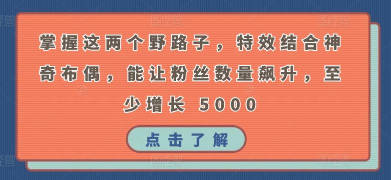 掌握这两个野路子，特效结合神奇布偶，能让粉丝数量飙升，至少增长 5000【揭秘】-七七项目网