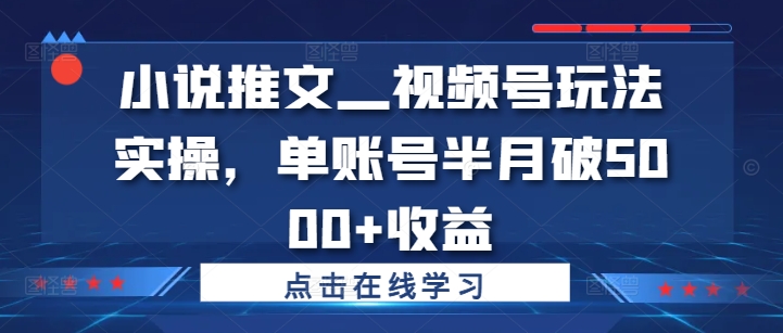 小说推文—视频号玩法实操，单账号半月破5000+收益-七七项目网