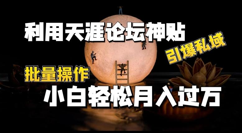 利用天涯论坛神贴，引爆私域，批量操作，小白轻松月入过w【揭秘】-七七项目网