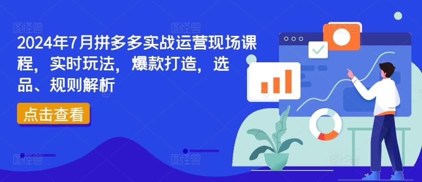 2024年7月拼多多实战运营现场课程，实时玩法，爆款打造，选品、规则解析-七七项目网