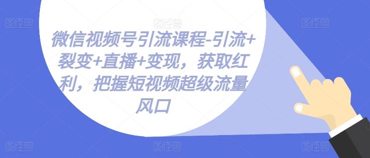微信视频号引流课程-引流+裂变+直播+变现，获取红利，把握短视频超级流量风口-七七项目网