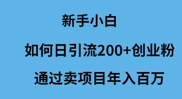 (9668期)新手小白如何日引流200+创业粉通过卖项目年入百万-七七项目网
