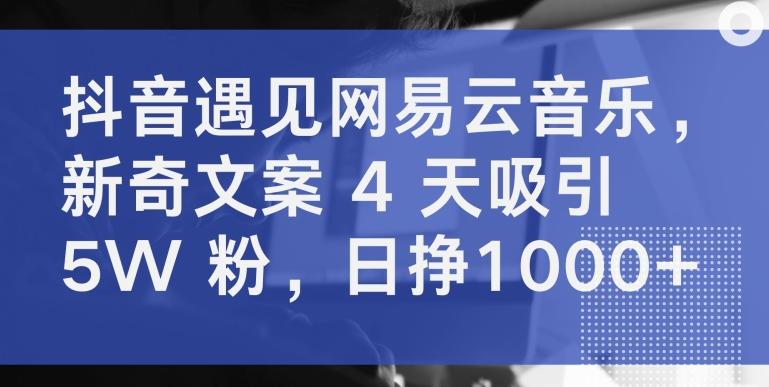 抖音遇见网易云音乐，新奇文案 4 天吸引 5W 粉，日挣1000+【揭秘】-七七项目网