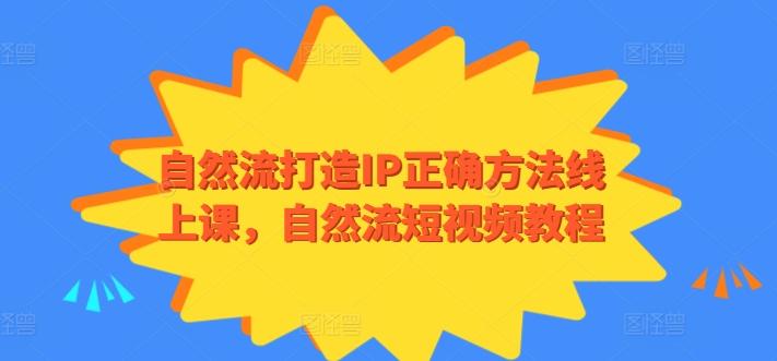 自然流打造IP正确方法线上课，自然流短视频教程-七七项目网