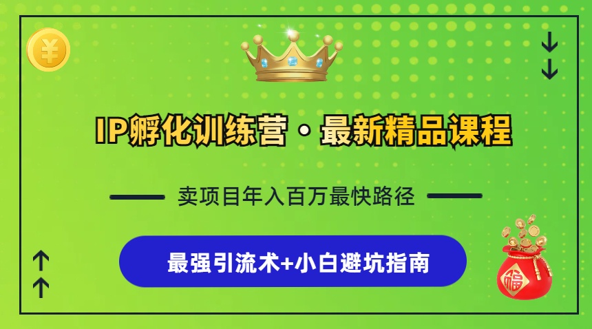 IP孵化训练营，知识付费全流程+最强引流术+小白避坑指南-七七项目网