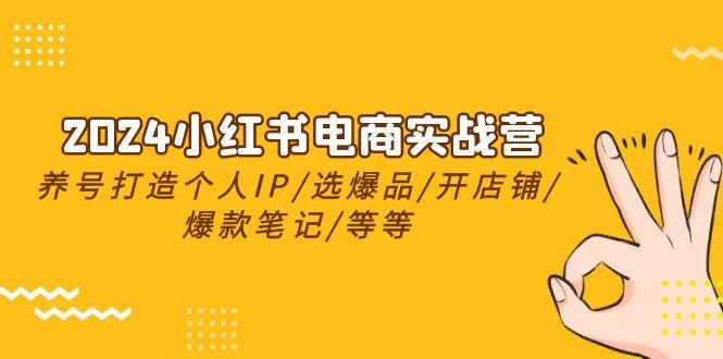 2024小红书电商实战营，养号打造IP/选爆品/开店铺/爆款笔记/等等(24节)-七七项目网