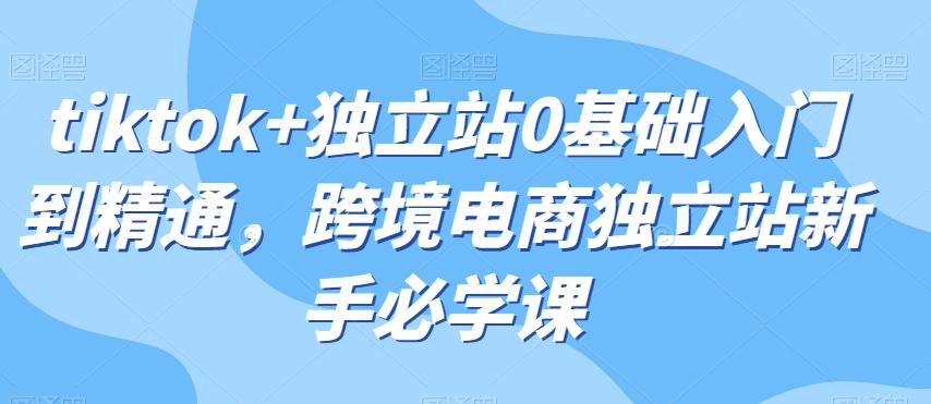 tiktok+独立站0基础入门到精通，跨境电商独立站新手必学课-七七项目网