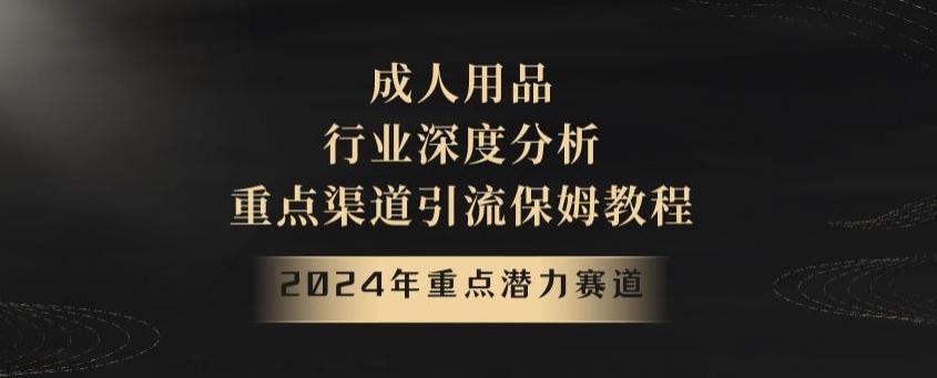 2024年重点潜力赛道，成人用品行业深度分析，重点渠道引流保姆教程【揭秘】-七七项目网
