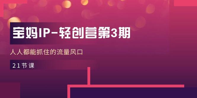 宝妈IP-轻创营第3期，人人都能抓住的流量风口(21节课-七七项目网