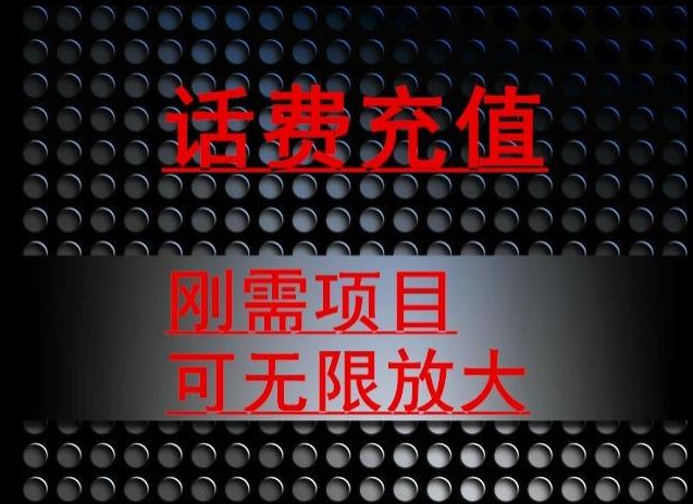 最新蓝海项目，刚需赛道，95折充话费月入5位数-七七项目网
