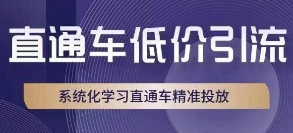 直通车低价引流课，系统化学习直通车精准投放-七七项目网