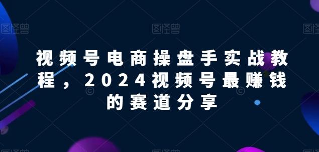 视频号电商实战教程，2024视频号最赚钱的赛道分享-七七项目网