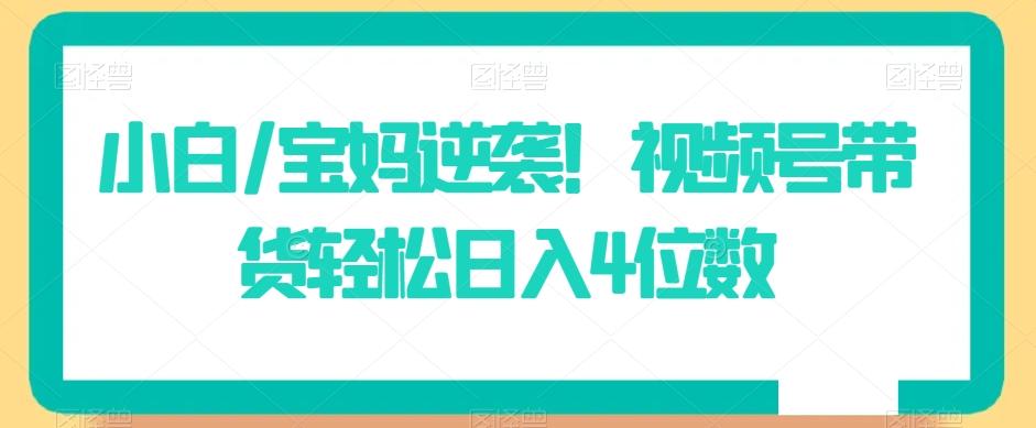 小白/宝妈逆袭！视频号带货轻松日入4位数【揭秘】-七七项目网