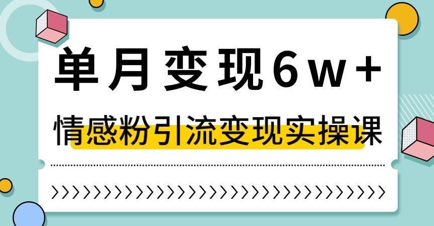 单月变现6W+，抖音情感粉引流变现实操课，小白可做，轻松上手，独家赛道【揭秘】-七七项目网