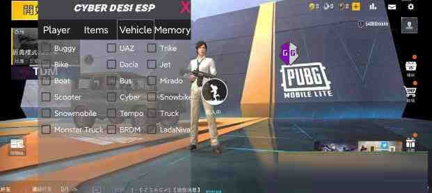 PUBG轻量老外裸奔绘制+自瞄 支持ROOT和框架 里面有全局离线-七七项目网