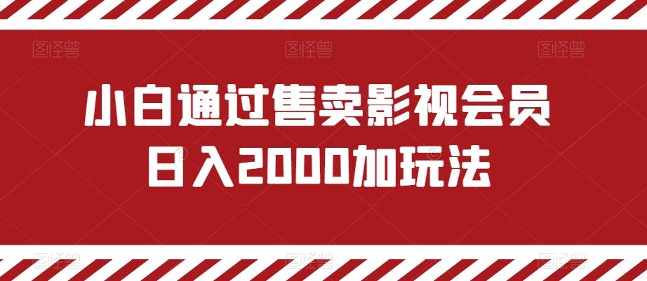 小白通过售卖影视会员日入2000加玩法-七七项目网