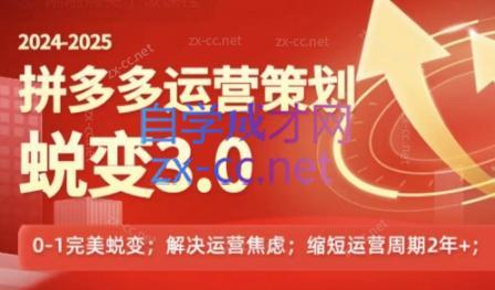 大力老师·2024拼多多运营策略蜕变3.0-七七项目网
