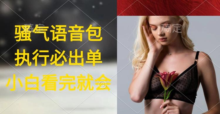 (9589期)执行就出单，日入2000+，超火骚气语音包，小白看完课程就能马上实操-七七项目网