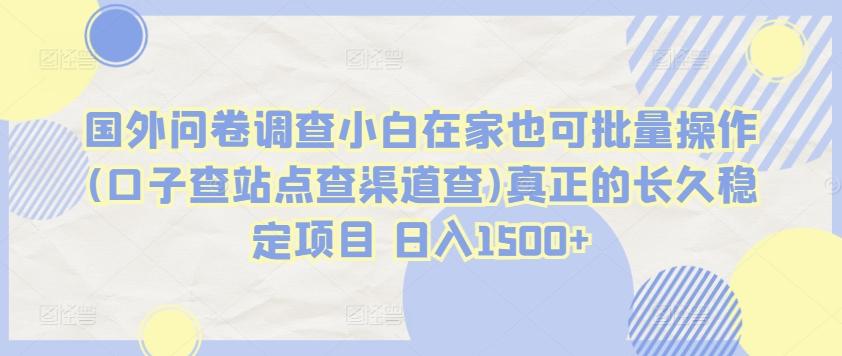 国外问卷调查小白在家也可批量操作(口子查站点查渠道查)真正的长久稳定项目 日入1500+【揭秘】-七七项目网