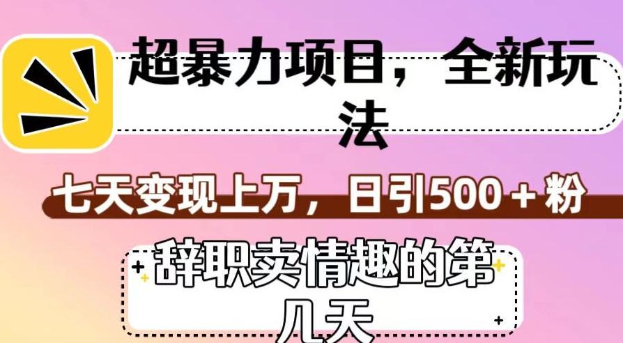 超暴利项目，全新玩法（辞职卖情趣的第几天），七天变现上万，日引500+粉【揭秘】-七七项目网