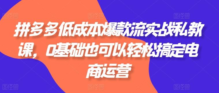 拼多多低成本爆款流实战私教课，0基础也可以轻松搞定电商运营-七七项目网